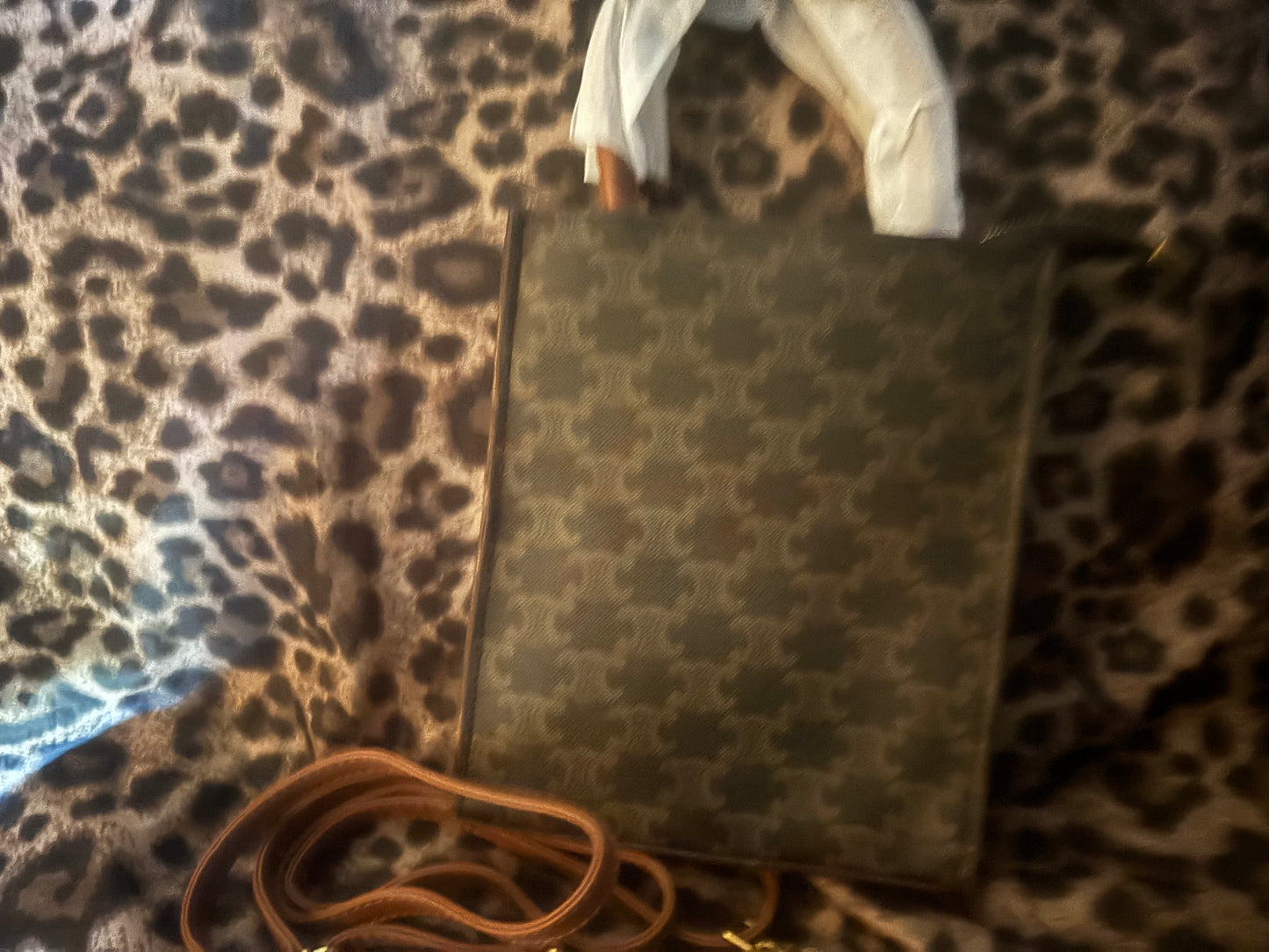 💸 Monogram Canvas Vertical Cabas Tote Bag ✨