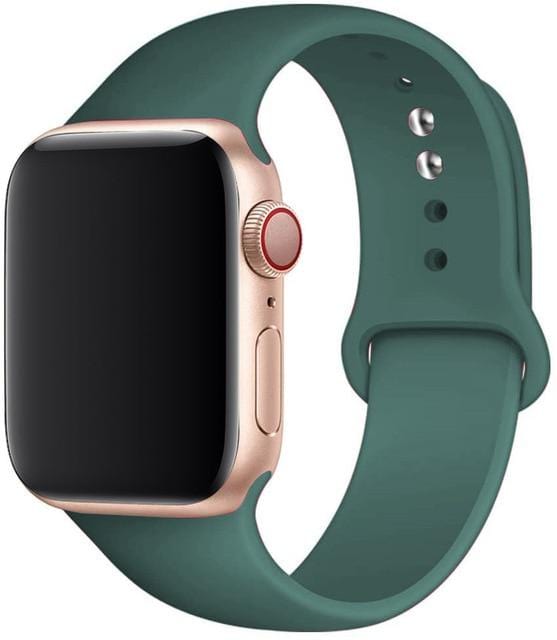 🎀Silicone Strap Apple Watch Bands✨